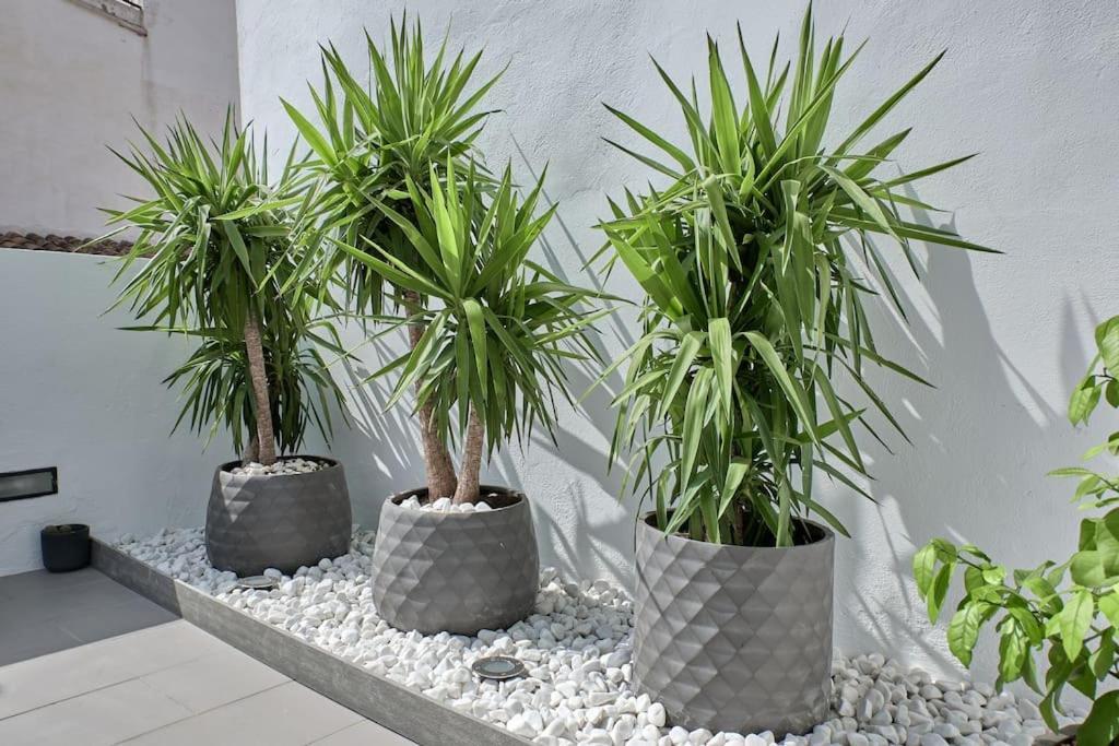 Appartamento Sunny Cozy Penthouse With A Terrace At Plaza Del Carmen Valenza Esterno foto